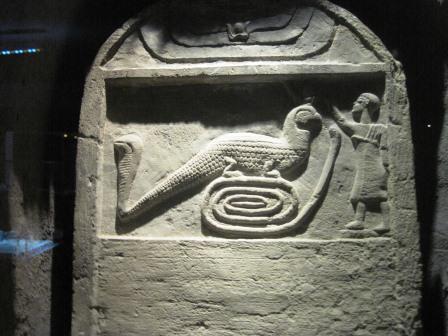 12 Kom Ombo Crocodile museum