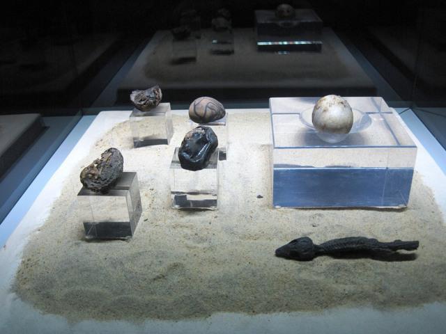 16 Kom Ombo Crocodile museum