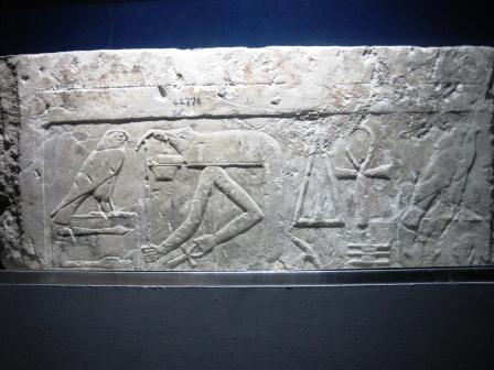 20 Kom Ombo Crocodile museum