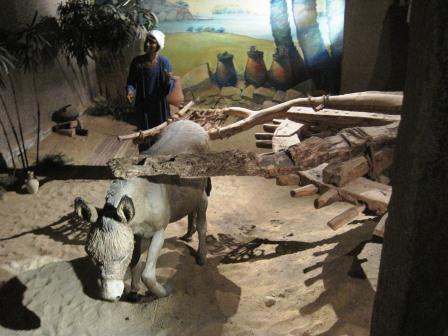 Aswan museum 212