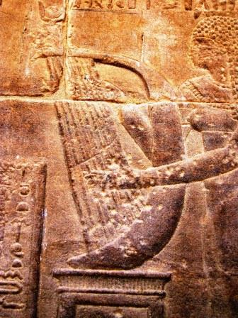 111 Philae