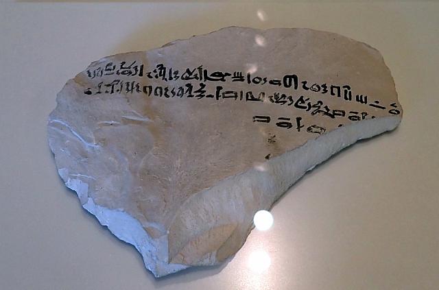 P6050507