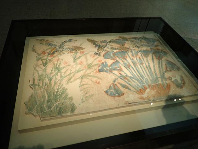 P6050642