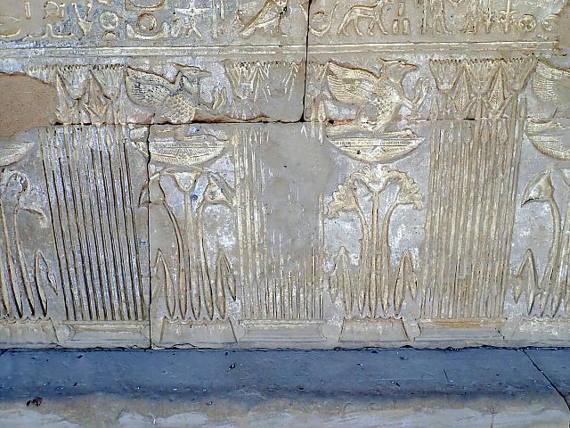 P1170700 (Kopie)