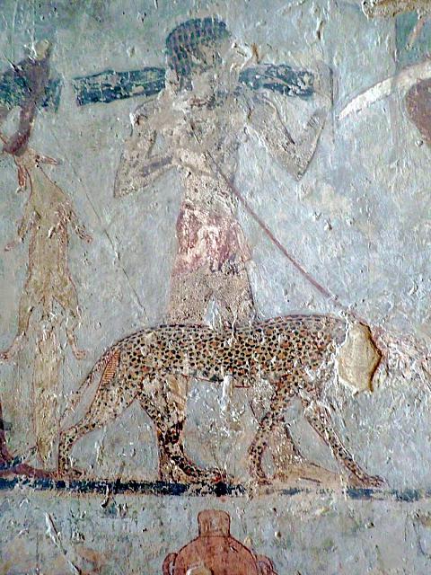 P1190184 (Kopie)