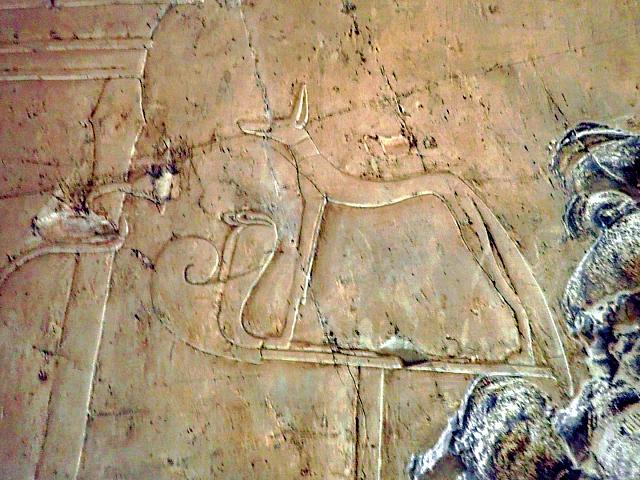 P1190486 (Kopie)