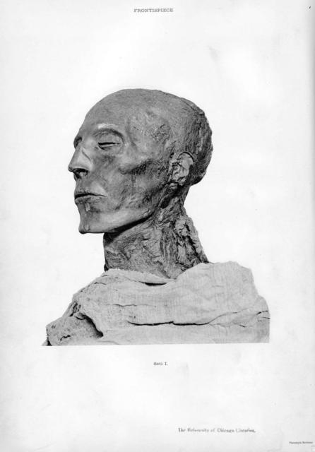 38 Mummie Seti I