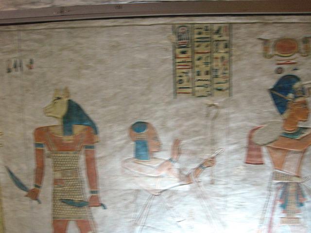 11-QV 43