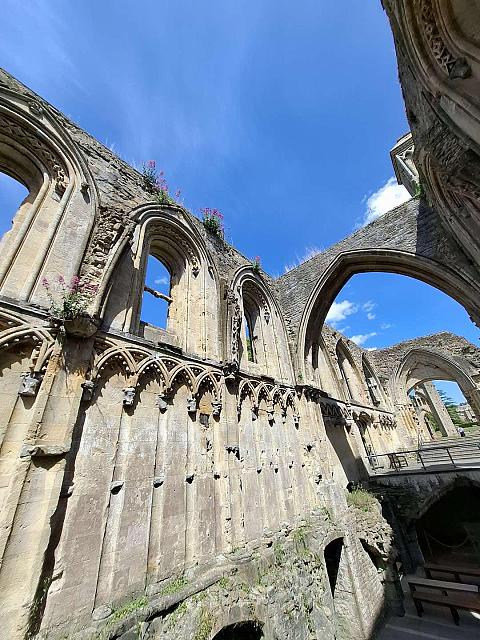 20250520 144635 (Kopie)