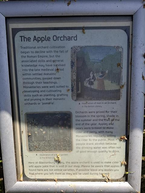 20250520 145240 (Kopie)