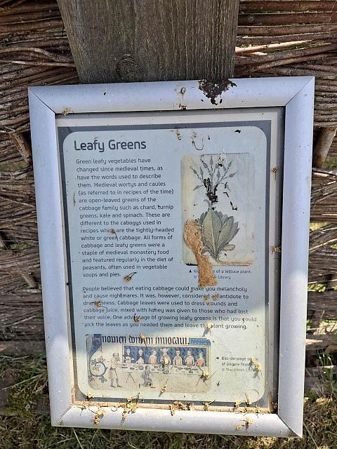 20250520 145313 (Kopie)