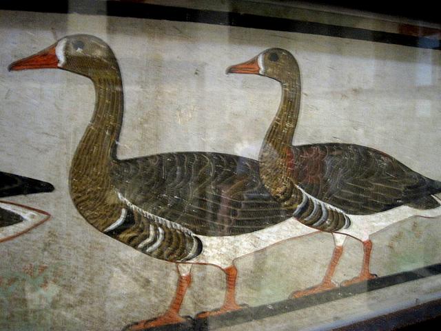 Egyptisch museum te Caìro