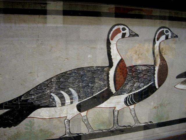 Egyptisch museum te Caìro