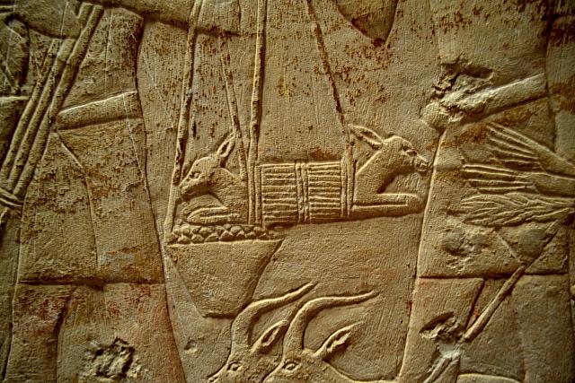 Tombe van Ankhmahor