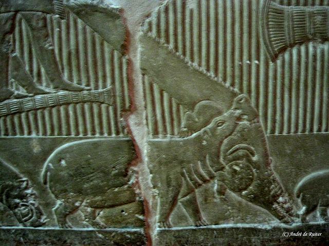 Tombe van Mereroeka