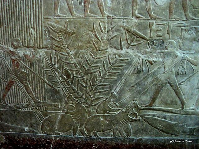 Tombe van Mereroeka