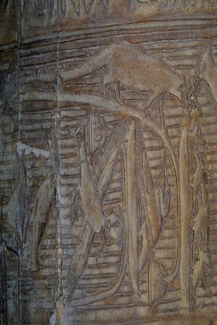 Tombe van Nikauisesi