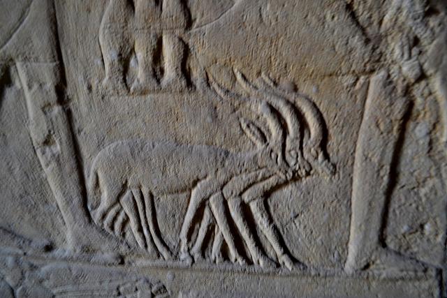 Tombe van Nikauisesi
