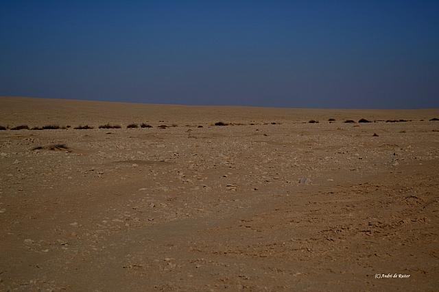 Op de weg terug door de woestijn