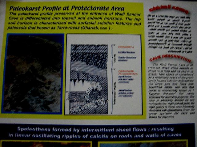Informatie overzicht detail