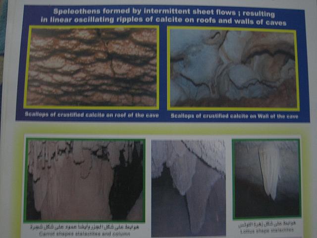 Informatie overzicht detail