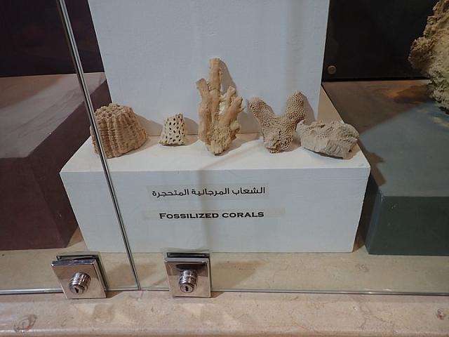 P2070030