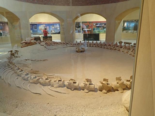 P2070034