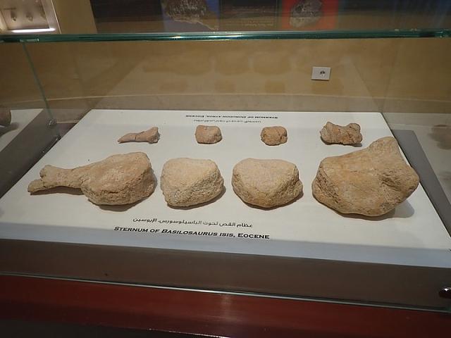 P2070038