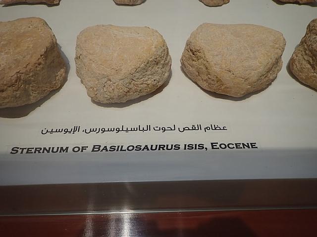P2070039