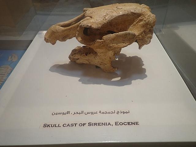P2070046
