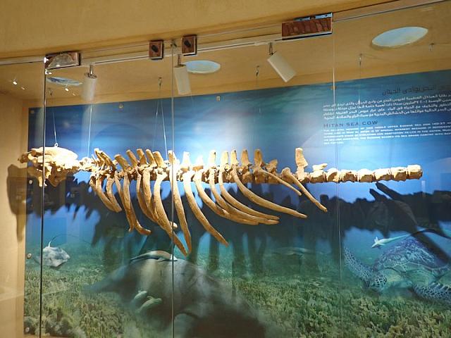 P2070048
