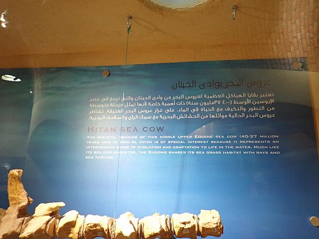 P2070049