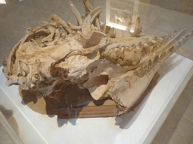 P2070051