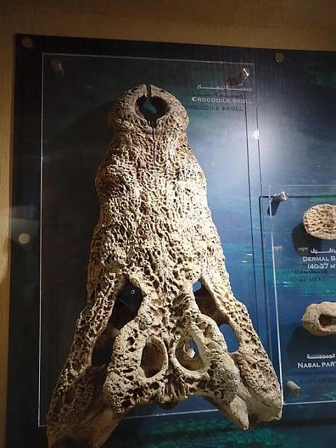 P2070056