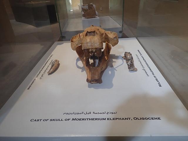 P2070063