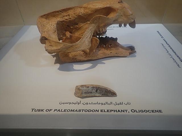 P2070064
