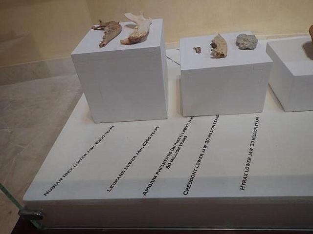 P2070067