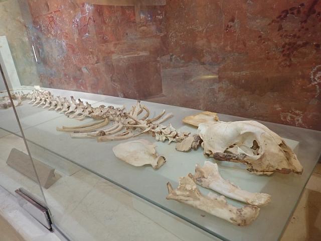 P2070071