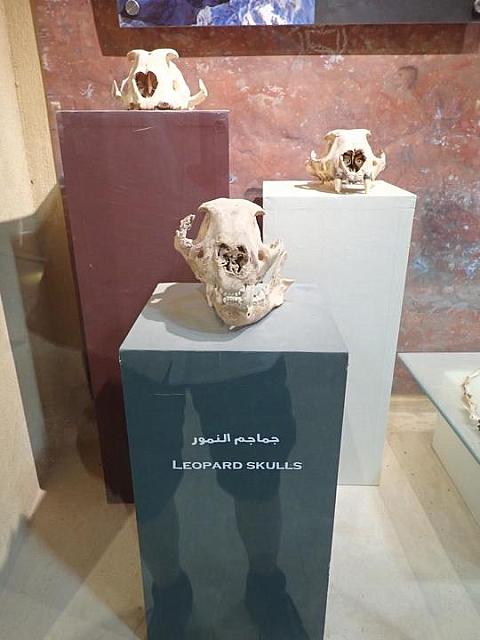 P2070072