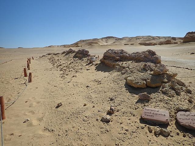 P2070100
