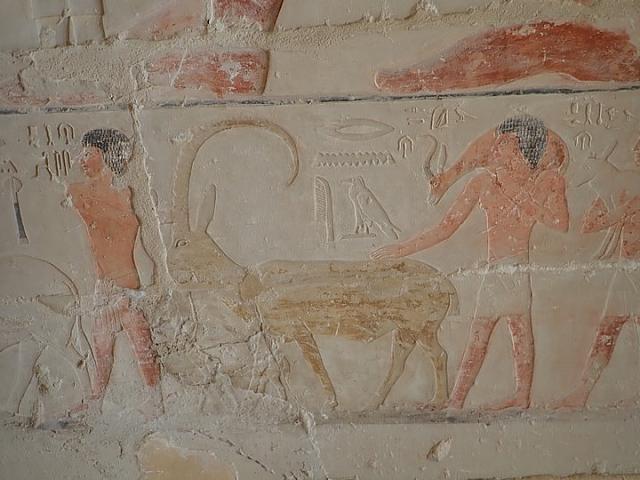 P2050346