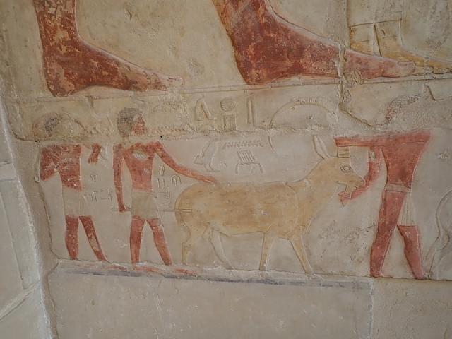 P2050347