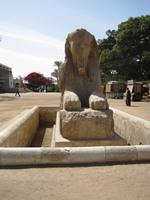 4 Memphis albasten sphinx Amenhotep II