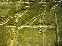 067 Edfu