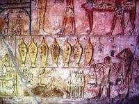 47 El-Kab tombe van Renni