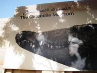 Kom Ombo museum
