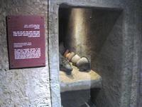 10 Kom Ombo Crocodile museum