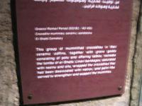11 Kom Ombo Crocodile museum