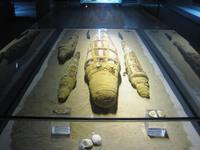 19 Kom Ombo Crocodile museum