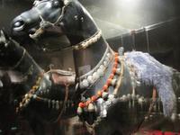 Aswan museum 181